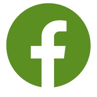facebook icon green