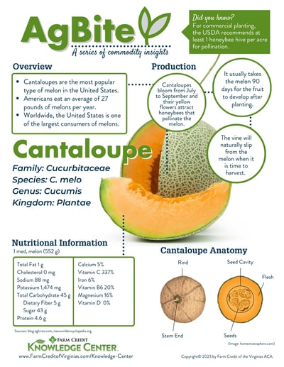 AgBite-Cantaloupe